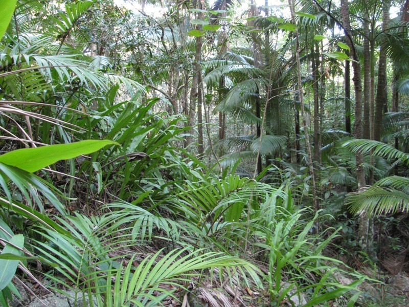 Lot 27 Gorge Road, Finch Hatton QLD 4756