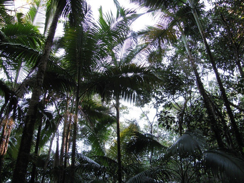 Lot 27 Gorge Road, Finch Hatton QLD 4756