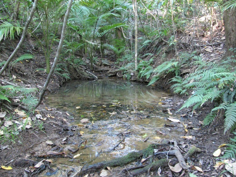 Lot 27 Gorge Road, Finch Hatton QLD 4756