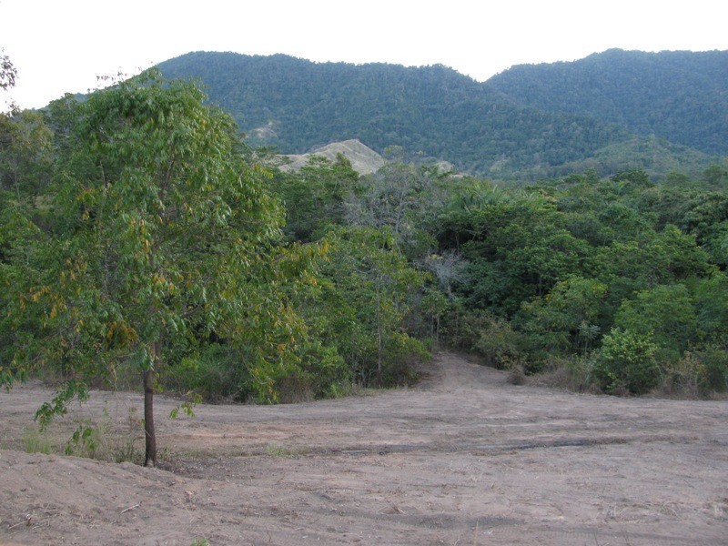 Lot 27 Gorge Road, Finch Hatton QLD 4756