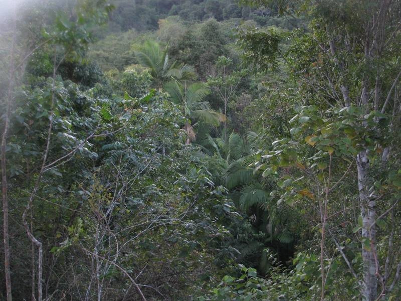 Lot 27 Gorge Road, Finch Hatton QLD 4756