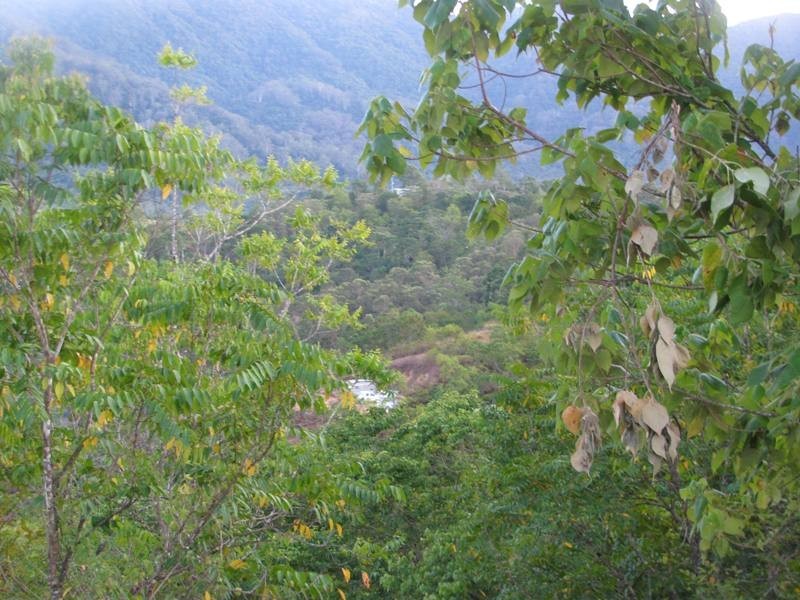 Lot 27 Gorge Road, Finch Hatton QLD 4756