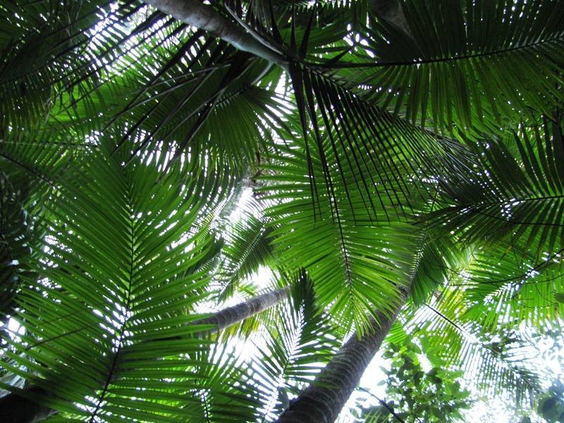 Lot 27 Gorge Road, Finch Hatton QLD 4756