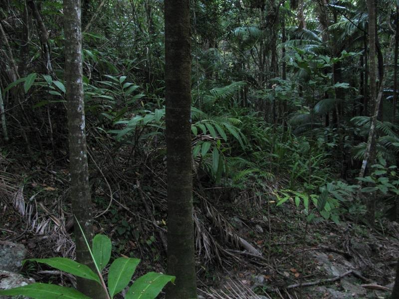 Lot 27 Gorge Road, Finch Hatton QLD 4756