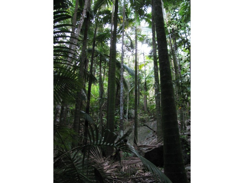 Lot 27 Gorge Road, Finch Hatton QLD 4756