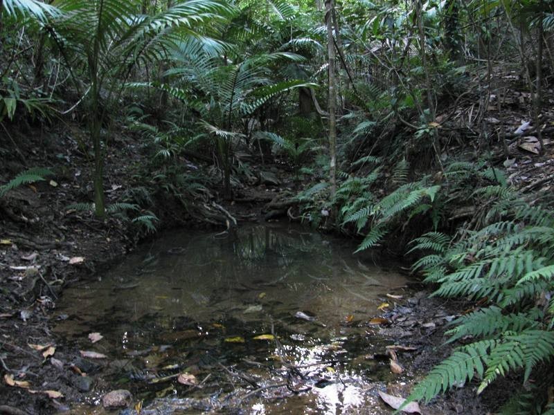 Lot 27 Gorge Road, Finch Hatton QLD 4756