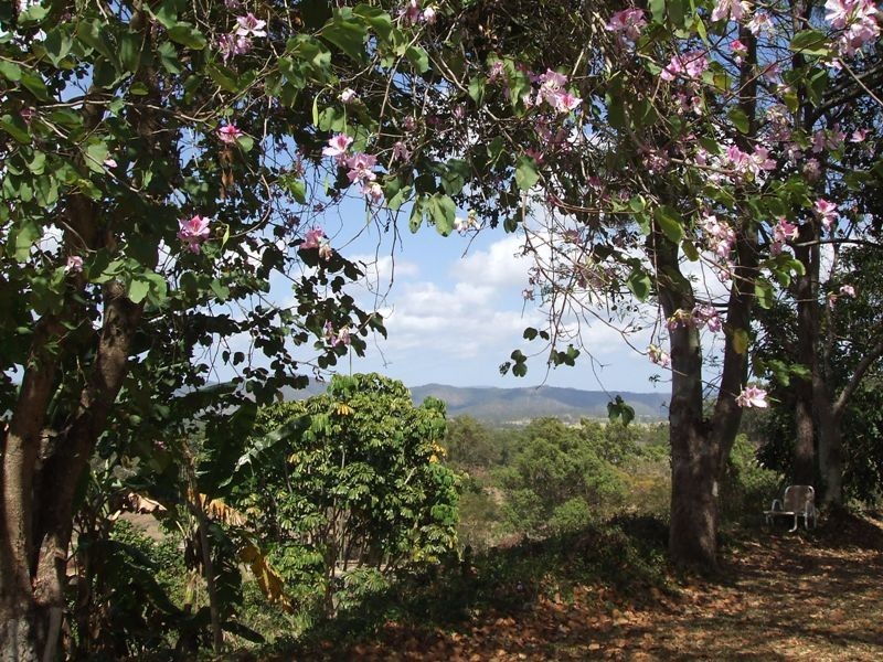 69 Owens Creek Loop Road, Gargett QLD 4741