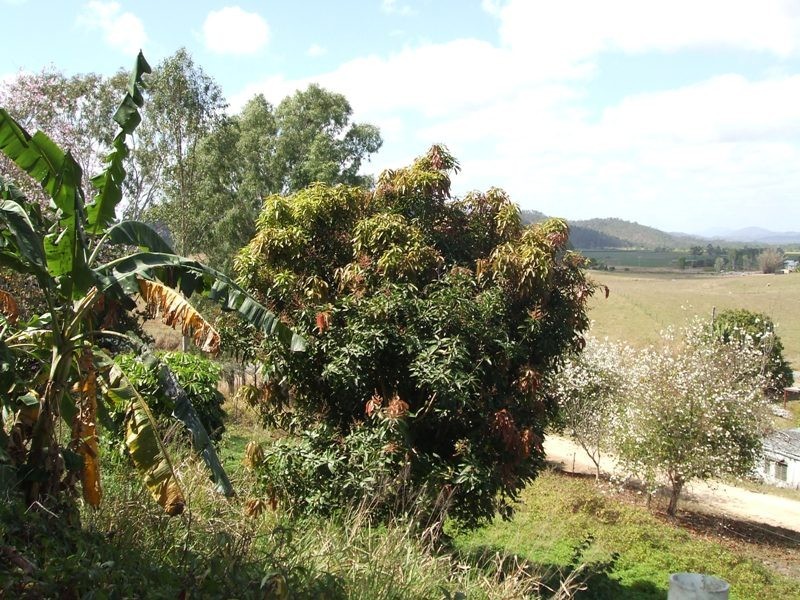 69 Owens Creek Loop Road, Gargett QLD 4741