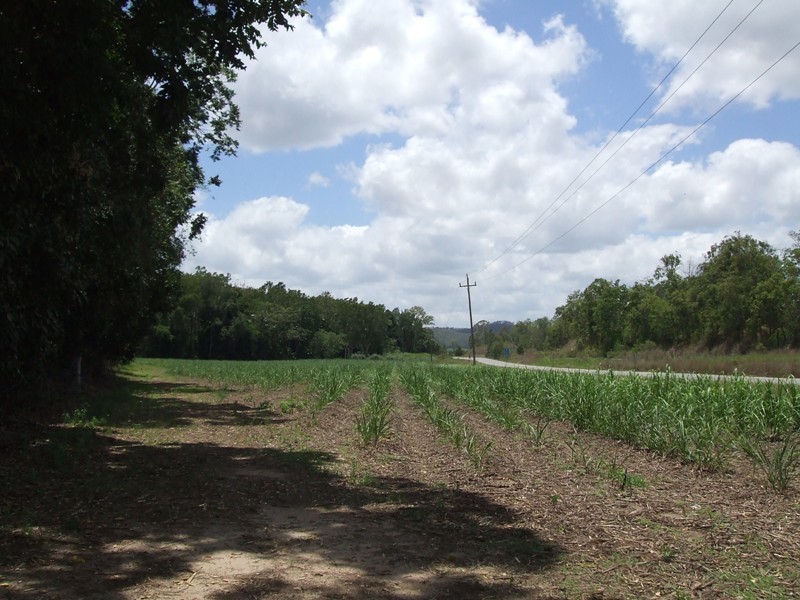 Lot 121 Mackay Eungella Road, Pinnacle QLD 4741