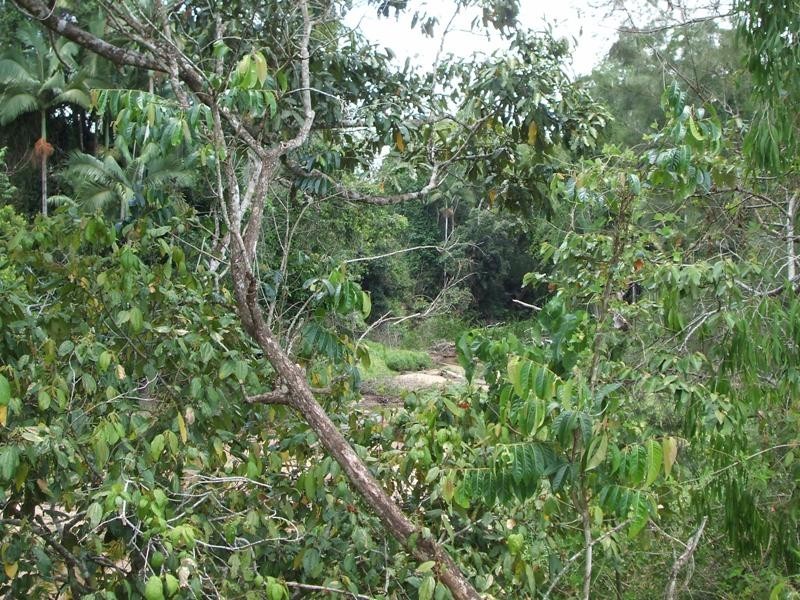 Lot 121 Mackay Eungella Road, Pinnacle QLD 4741