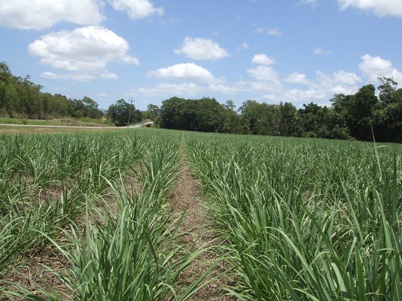 Lot 121 Mackay Eungella Road, Pinnacle QLD 4741