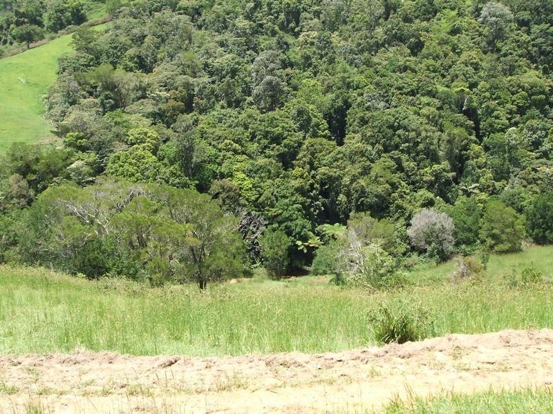 202 Bee Creek Road, Eungella QLD 4757