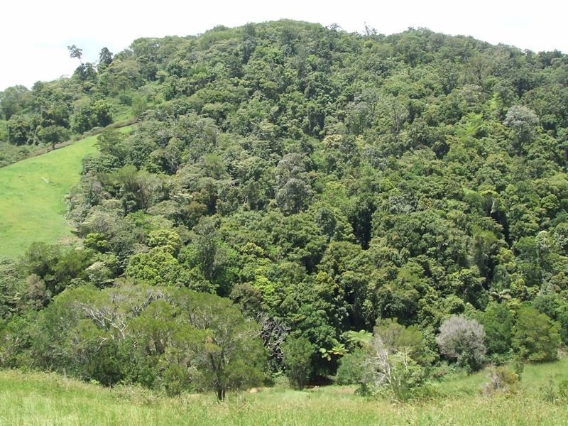 202 Bee Creek Road, Eungella QLD 4757