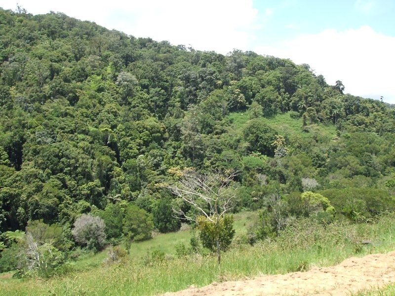 202 Bee Creek Road, Eungella QLD 4757