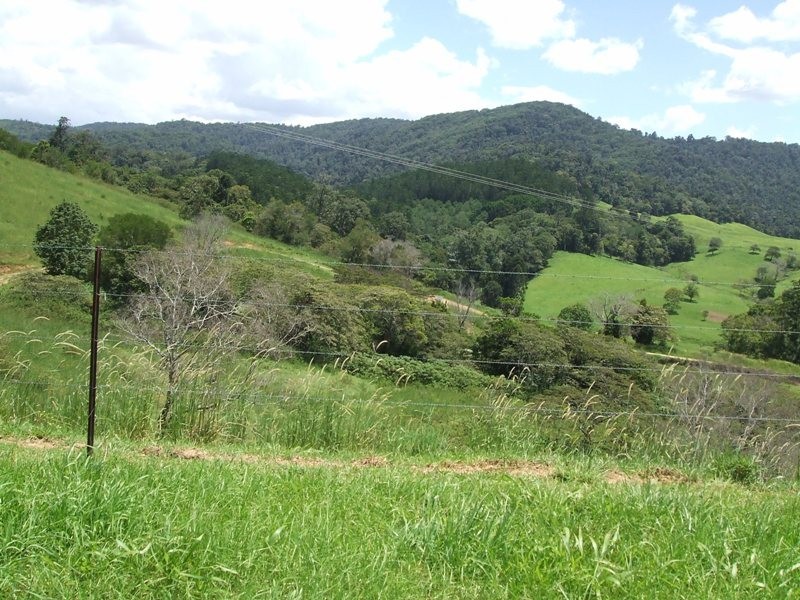 202 Bee Creek Road, Eungella QLD 4757