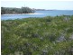 18 Morris Street, Campwin Beach QLD 4737