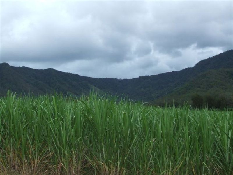 6395 Mackay Eungella Road, Netherdale QLD 4756