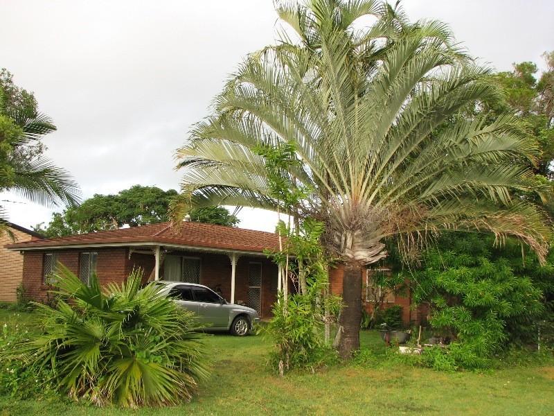 1 Albert Court, Andergrove QLD 4740