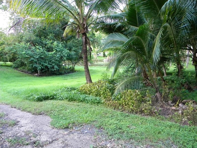 5 Lambert Road, Sarina QLD 4737