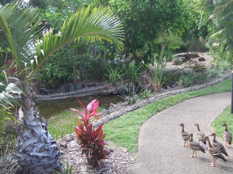 59 Allure, 12 Homestead Bay Avenue, Bucasia QLD 4750