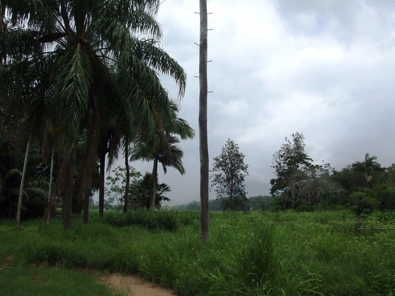 18 Drew Street, Finch Hatton QLD 4756