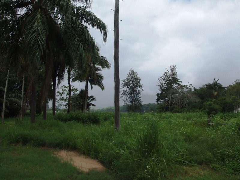 18 Drew Street, Finch Hatton QLD 4756