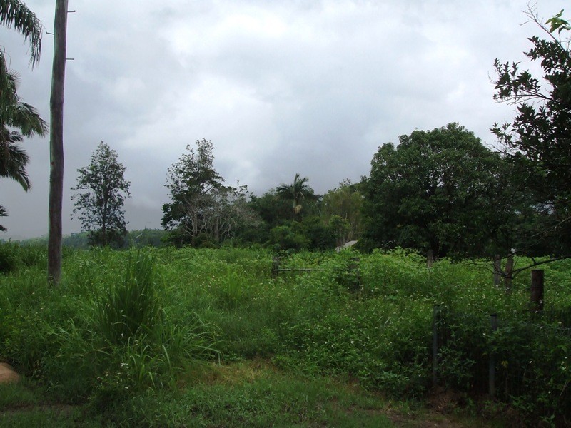 18 Drew Street, Finch Hatton QLD 4756