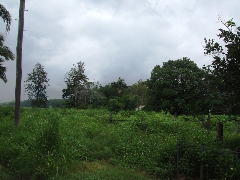 18 Drew Street, Finch Hatton QLD 4756