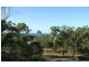 37 Rattray Avenue, Hideaway Bay QLD 4800