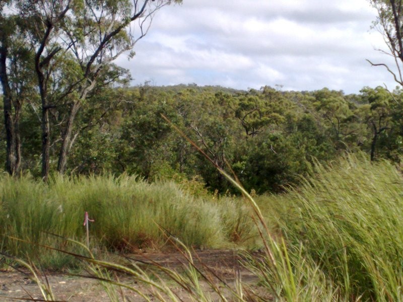 25,27,29,30,31 Greenhill Road, Ilbilbie QLD 4738