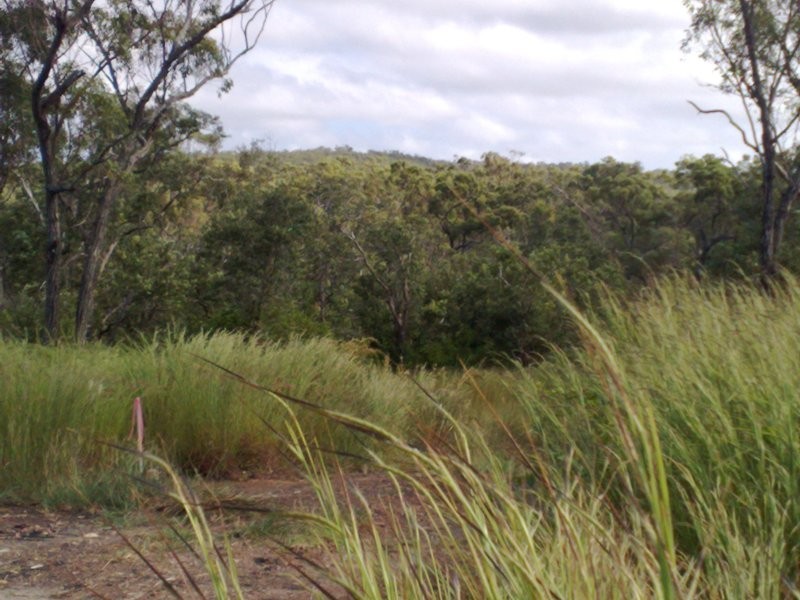 25,27,29,30,31 Greenhill Road, Ilbilbie QLD 4738