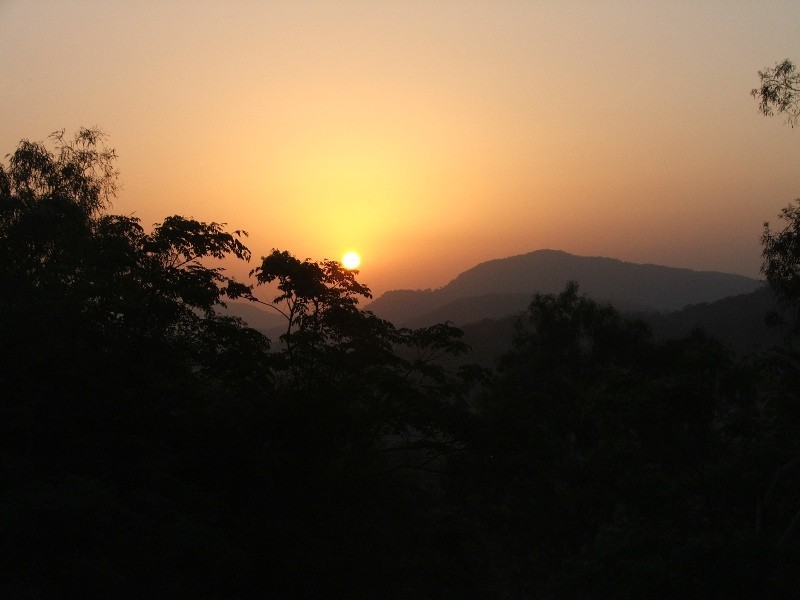 268 Griffiths Road, Balnagowan QLD 4740