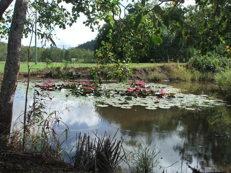 268 Griffiths Road, Balnagowan QLD 4740