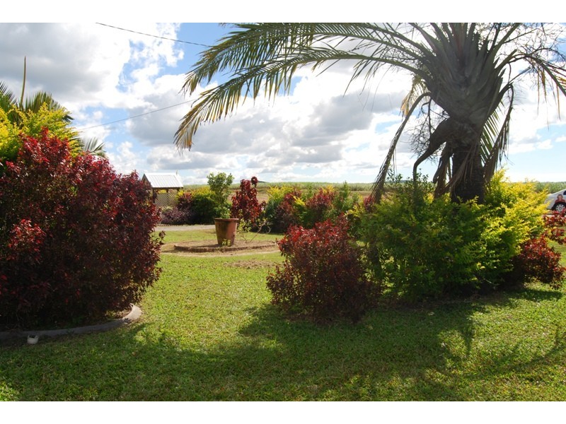 7 Starretts Road, Farleigh QLD 4741