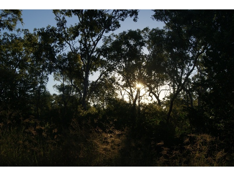 673 Miran Khan Drive, Freshwater Point, Sarina QLD 4737