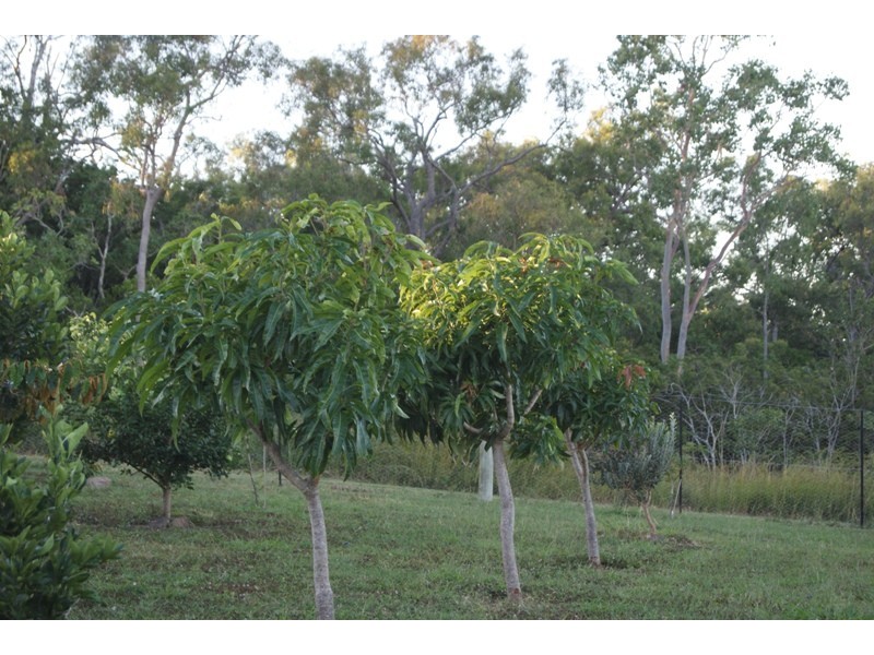 673 Miran Khan Drive, Freshwater Point, Sarina QLD 4737