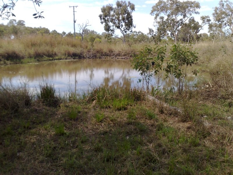 779 Greenhill Road, Ilbilbie QLD 4738