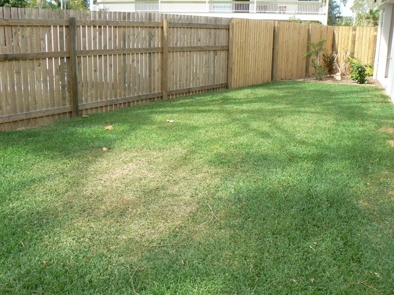 54 Bedford Road, Andergrove QLD 4740