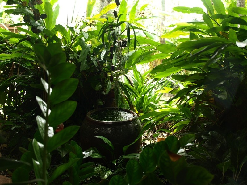 3 Cheribon Avenue, Mount Pleasant QLD 4740