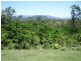267 Midge Point Road, Bloomsbury QLD 4799