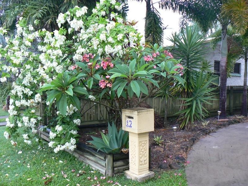 12 Mansfield Drive, Beaconsfield QLD 4740
