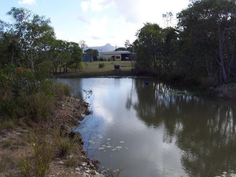 310 Greenhill Road, Ilbilbie QLD 4738