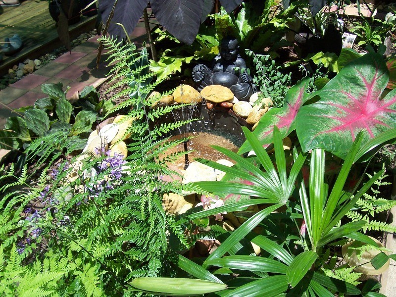 310 Greenhill Road, Ilbilbie QLD 4738