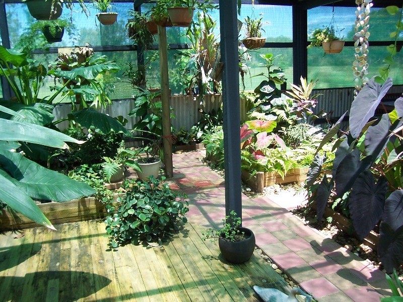 310 Greenhill Road, Ilbilbie QLD 4738