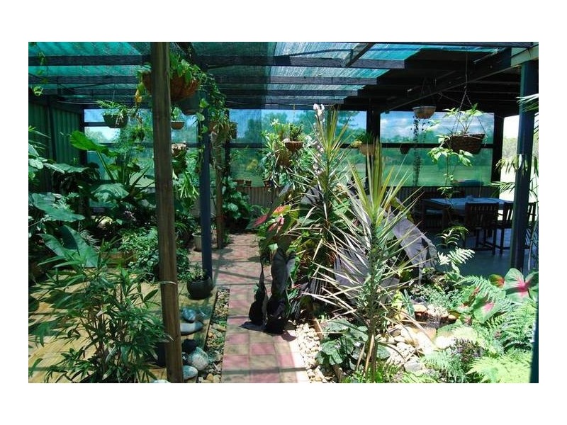 310 Greenhill Road, Ilbilbie QLD 4738