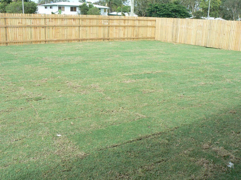 10 Stoddart Place, Walkerston QLD 4751