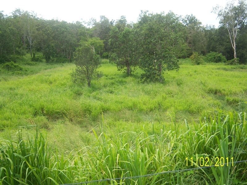 130 Running Creek Road, Oakenden QLD 4741