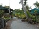 2 Swan Street – SWAMP NURSERY, Slade Point QLD 4740