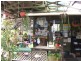 2 Swan Street – SWAMP NURSERY, Slade Point QLD 4740