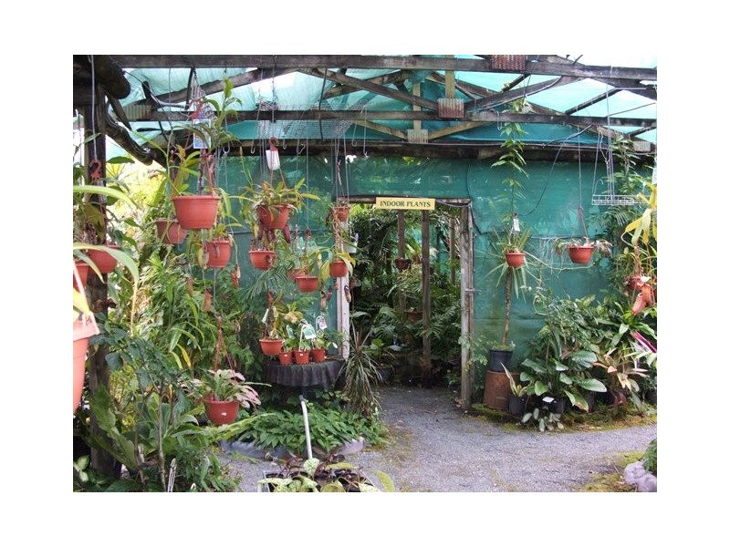 2 Swan Street – SWAMP NURSERY, Slade Point QLD 4740